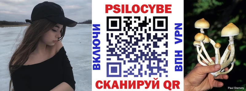shop какой сайт  купить   Старица  Псилоцибиновые грибы мухоморы 